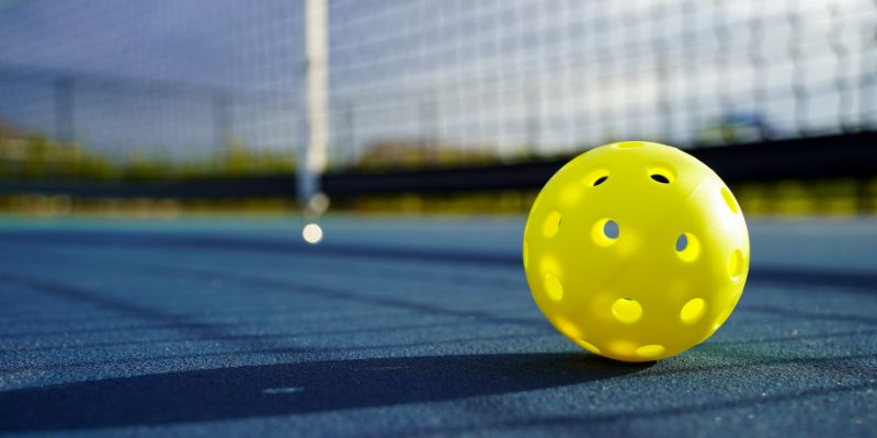 Cộng đồng và giải đấu pickleball Việt Nam 2025